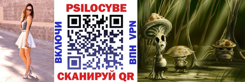 Купить где  Старая Купавна  Псилоцибиновые грибы Cubensis 